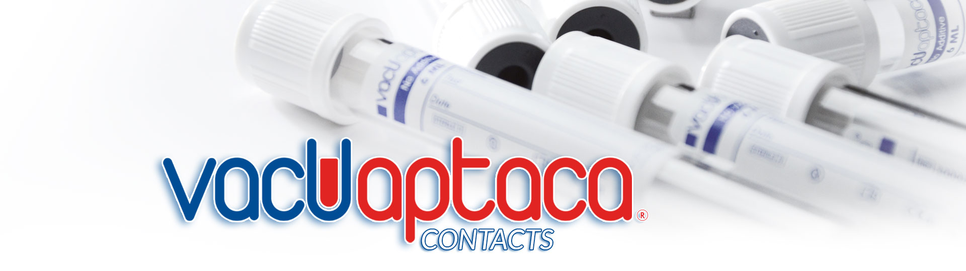 header contacts